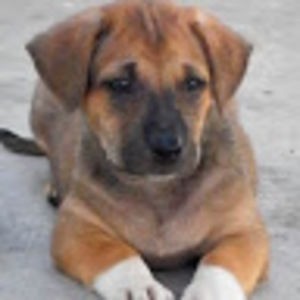 Meet your Posher, Joanne